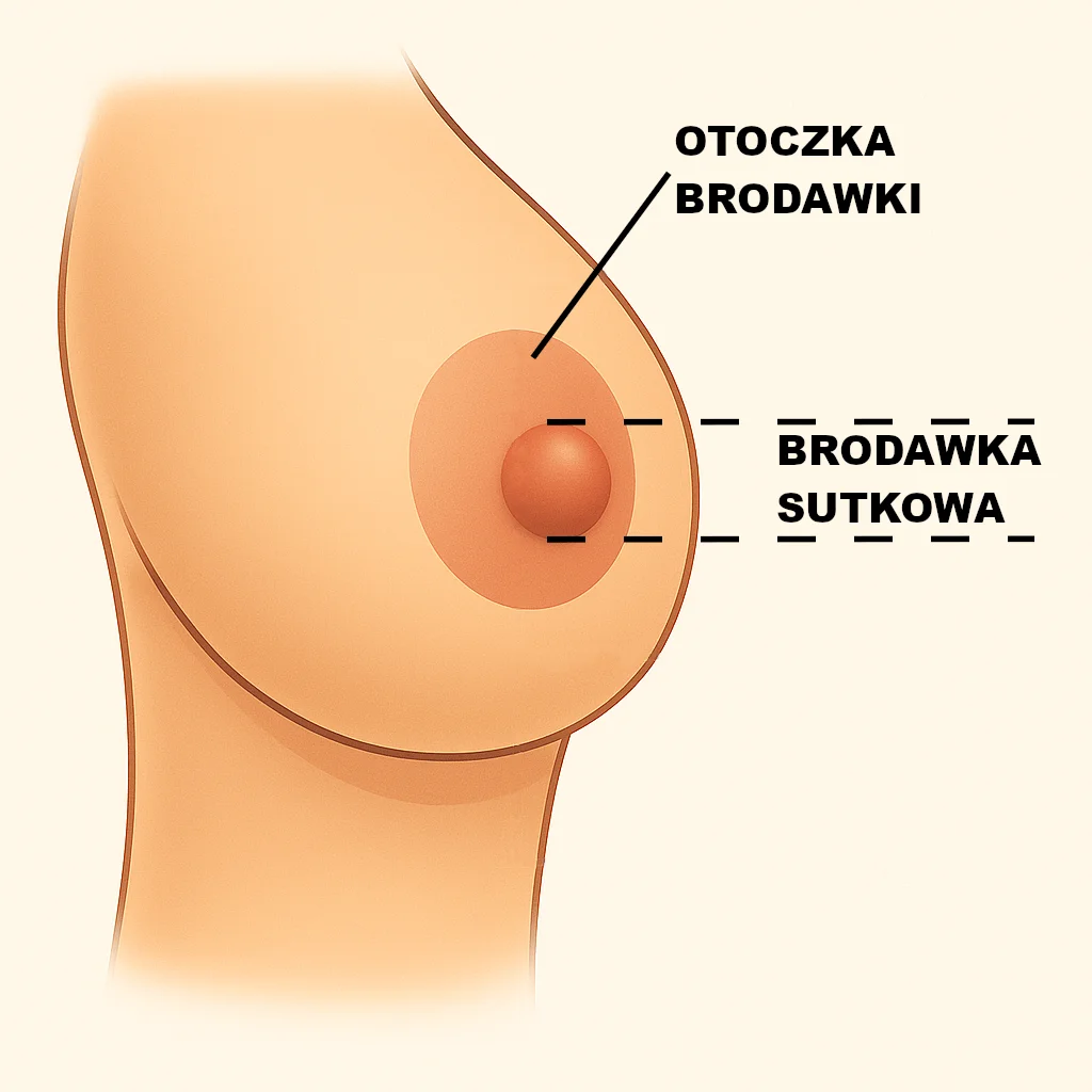 jak dopasować laktator